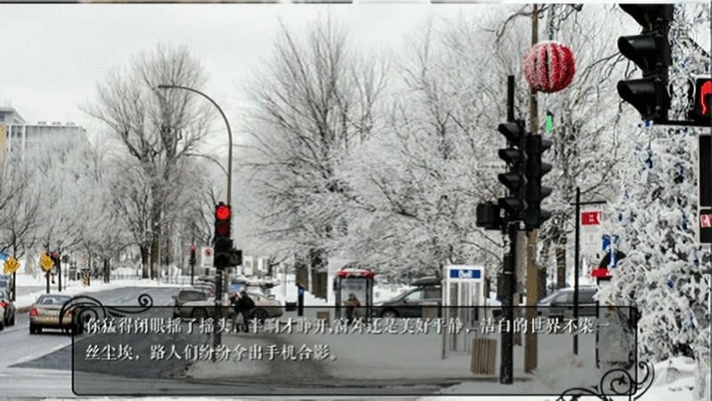 感染2橙光游戏破解最新版 感染2橙光游戏破解官方版