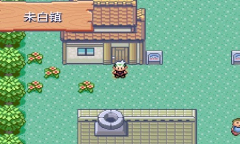 口袋妖怪神兽领域破解版截图2