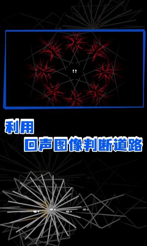 回声探路官方版截图2
