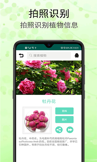 识花草软件截图1