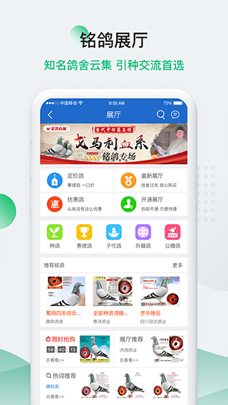 中国信鸽信息网app截图2