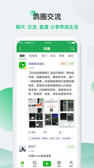 中国信鸽信息网app截图3