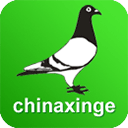 中国信鸽信息网appv20250416