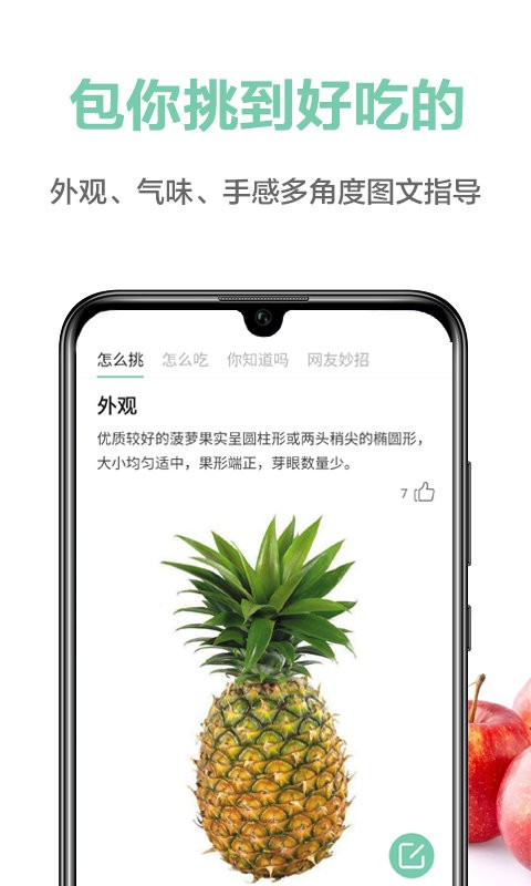 应用主界面截图
