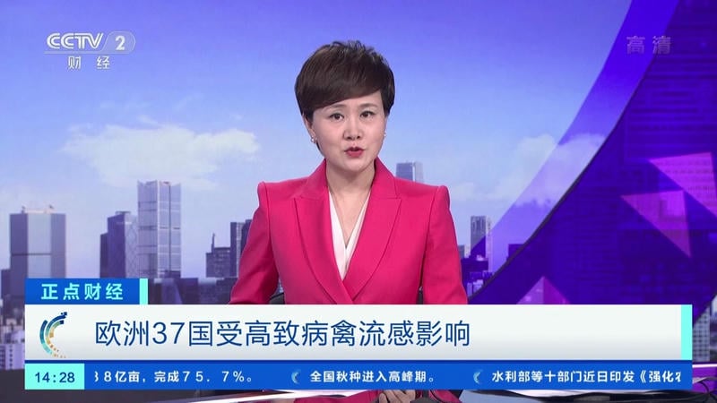 小薇直播电视版app截图2