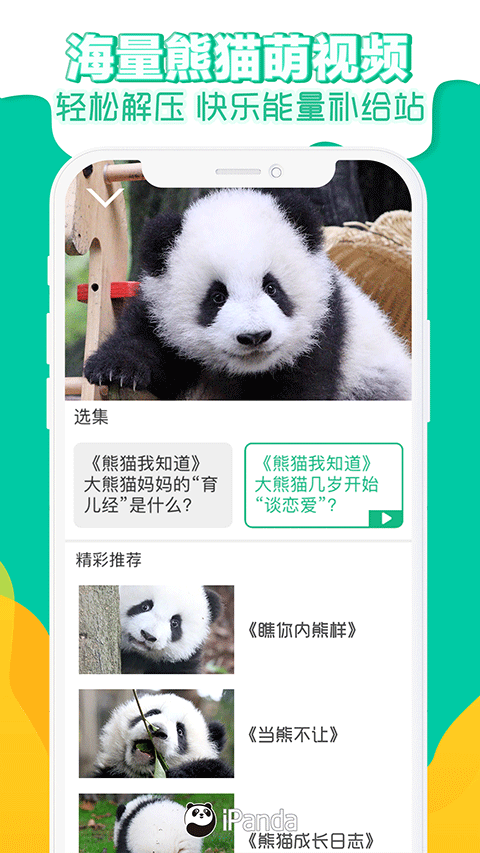 ipand熊猫频道app截图4