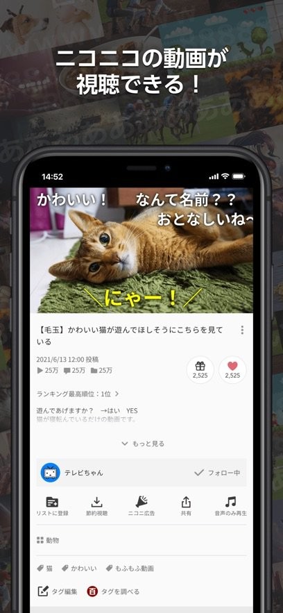 Niconico动画最新版(N站)截图2
