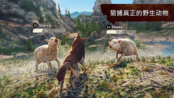 狼族游戏