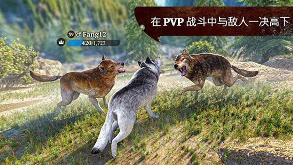 狼族(The Wolf)截图1