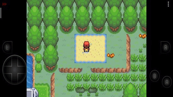 口袋妖怪新世界传奇彼岸花绽放之夜手游最新版截图1