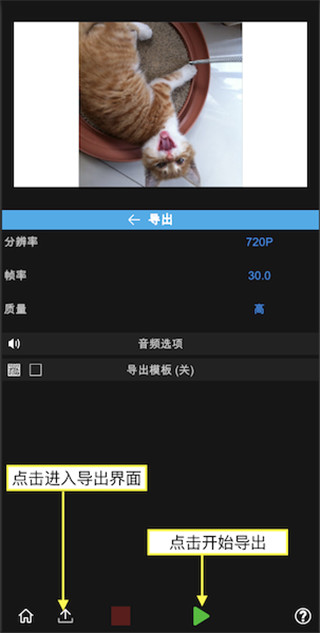 nodevideo中文版软件