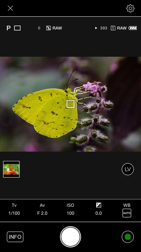image sync手机版截图3