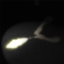 细菌边缘游戏v1.01.80