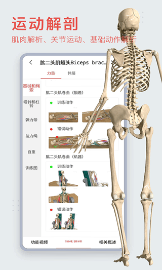 3dbody解剖app免费版截图2