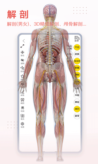 3dbody解剖app免费版截图3