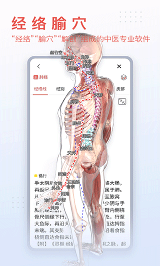 3dbody解剖app免费版截图5