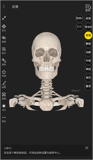 3dbody人体解剖学app官方版
