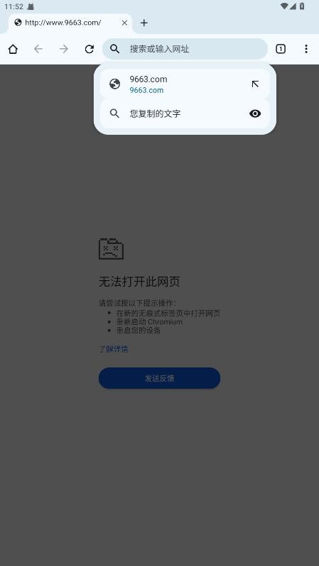 AI Chrome浏览器截图2
