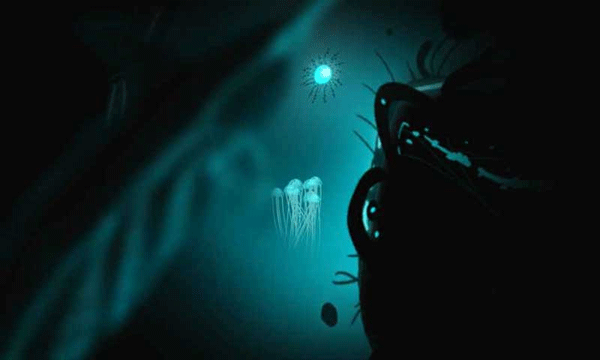 生命之潮游戏(Waves Of Life)截图4