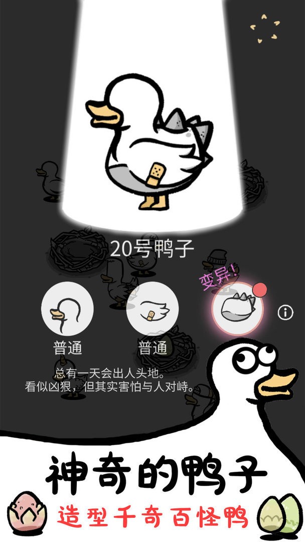 神奇的鸭子官方版