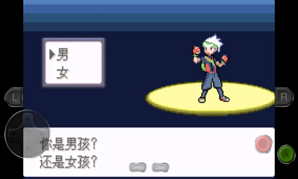 口袋妖怪永恒之沫手游截图2