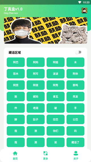 丁真盒最新版截图1