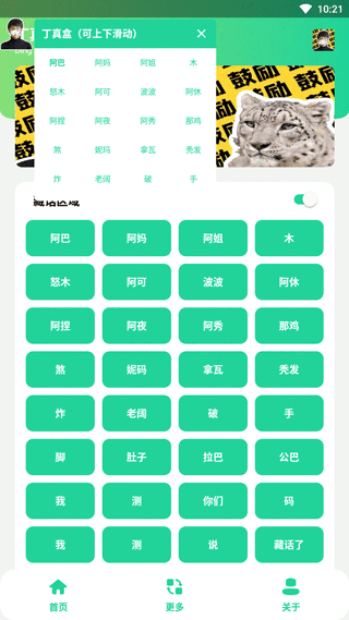 丁真盒最新版截图4