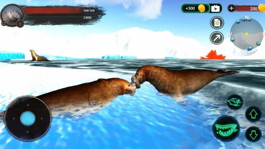 海豹模拟器最新版(The Seal Elephant)截图2