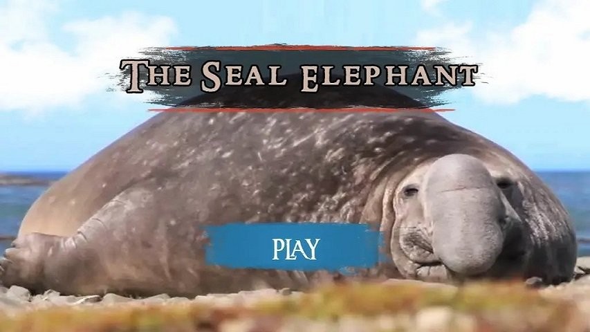 海豹模拟器最新版(The Seal Elephant)截图3