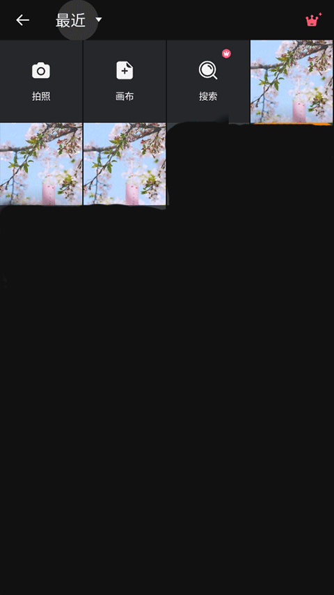 专业照片编辑器app(Polish)