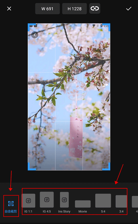 专业照片编辑器app(Polish)