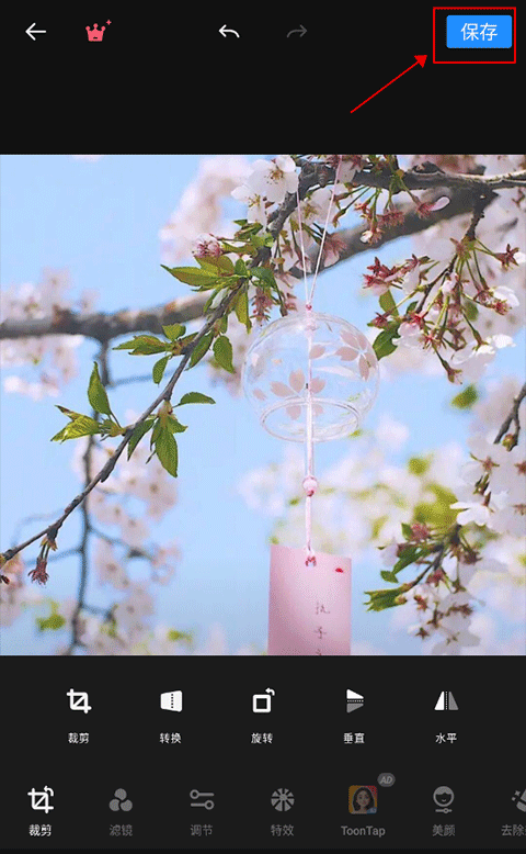 专业照片编辑器app(Polish)