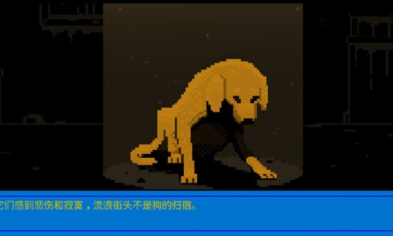狗狗庇护所最新版截图1