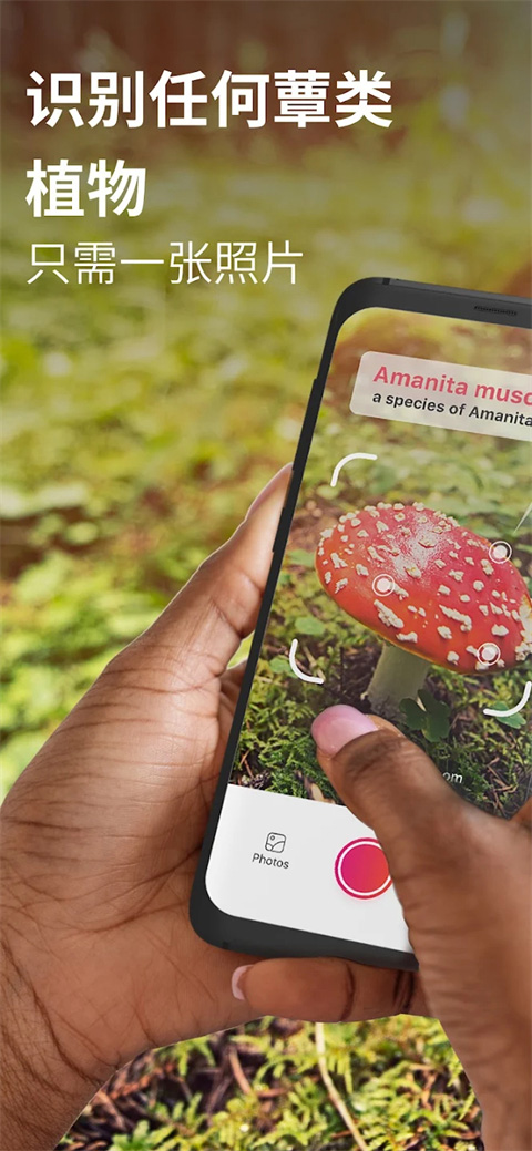 蘑菇识别扫一扫app（Picture Mushroom）截图1