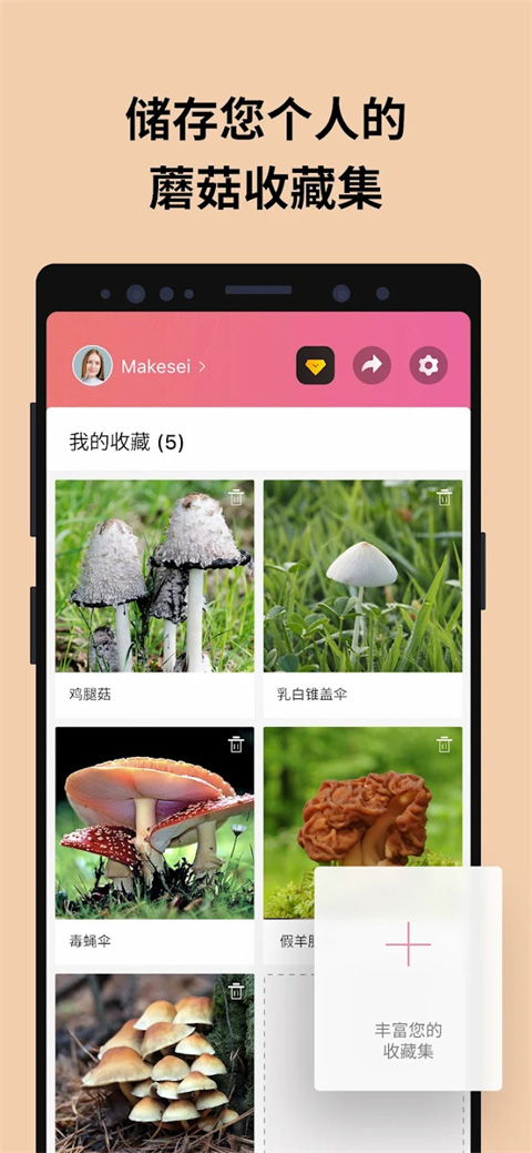 蘑菇识别扫一扫app（Picture Mushroom）截图3