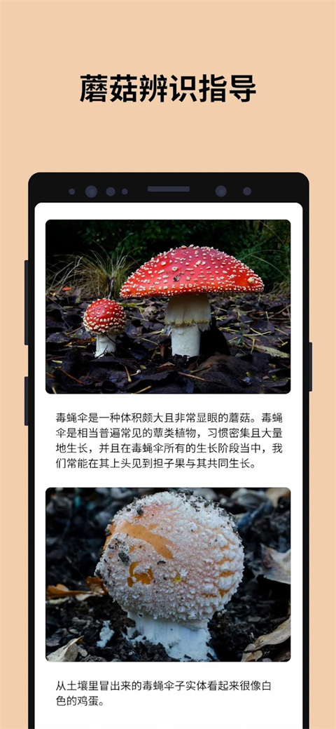 蘑菇识别扫一扫app（Picture Mushroom）截图4