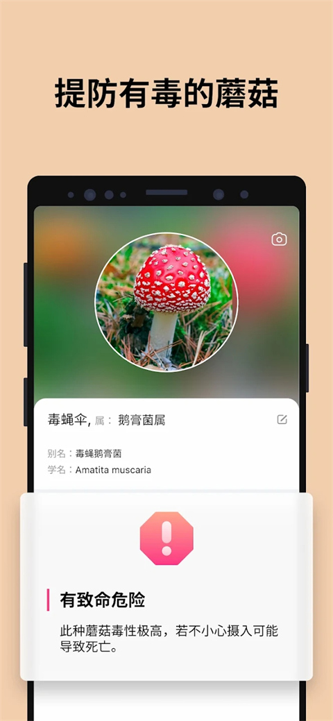 蘑菇识别扫一扫app（Picture Mushroom）截图5