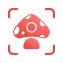 蘑菇识别扫一扫app（Picture Mushroom）v2.9.20
