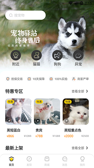买只宠物app
