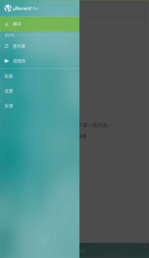 utorrentPro安卓汉化版截图1