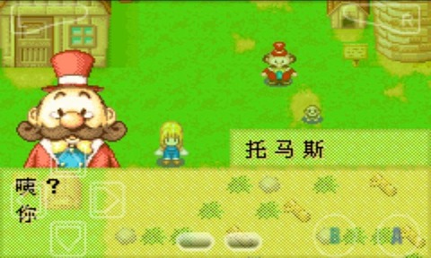 牧场物语女孩版中文版截图2