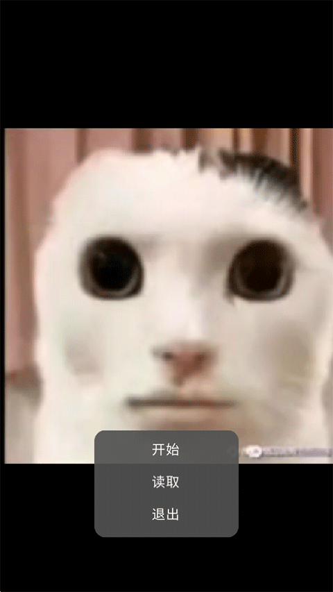 猫猫惊魂正版截图4