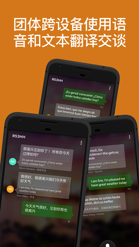微软翻译软件(microsoft translator)截图4