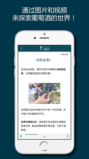 掌上波尔多app截图3