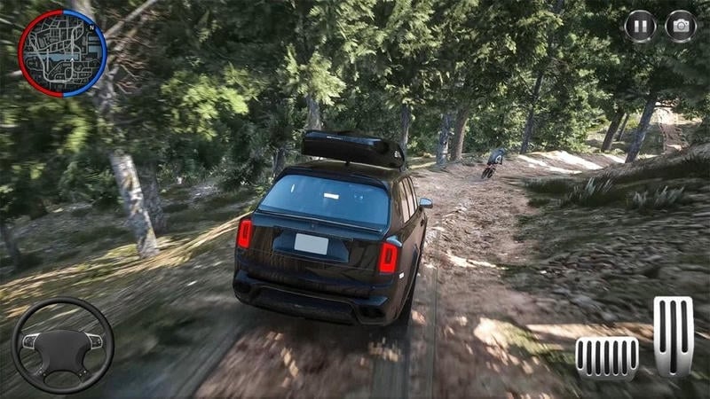 无限试驾2中文版(Rally Racer Dirt)截图2