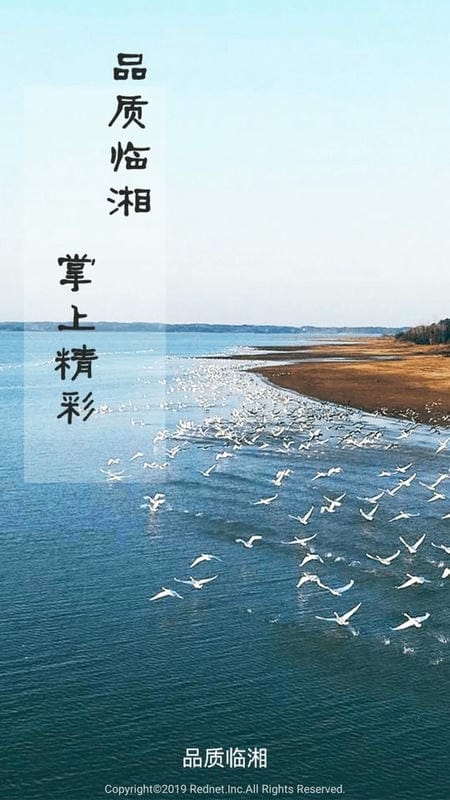 品质临湘手机版截图3
