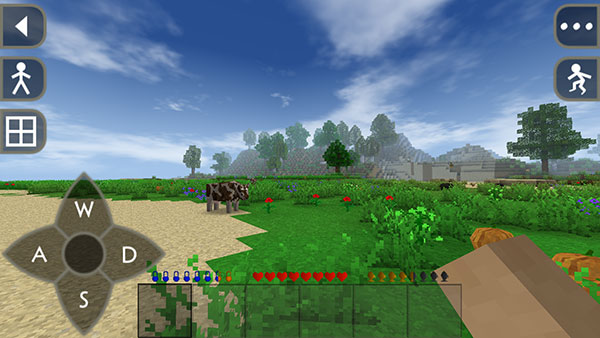 Survivalcraft2汉化版截图2