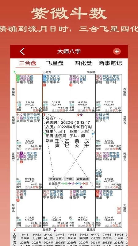 大师八字排盘免费版截图2