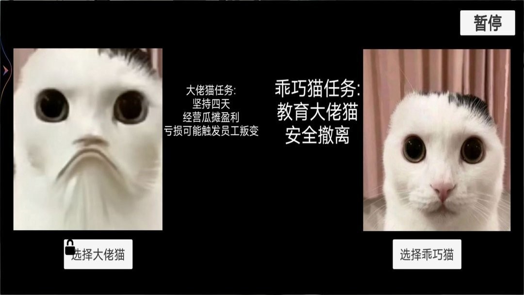 猫猫惊魂夜官方版