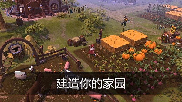 阿尔比恩国际服截图5